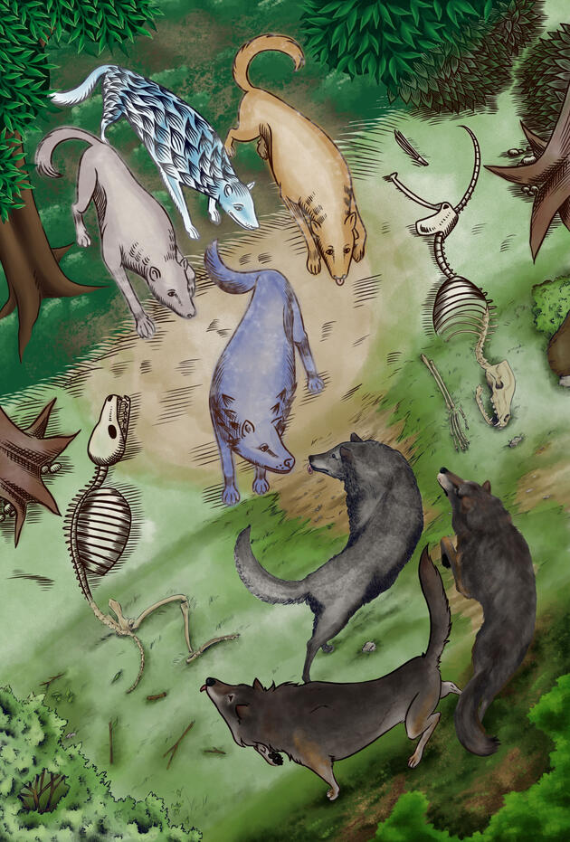 la cucina del diavolo